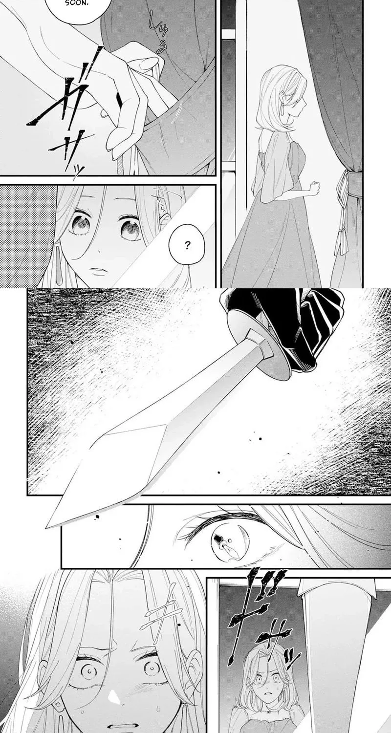 The Person I Planned to Kill Is Overwhelmingly in Love With Me and It’s a Problem Chapter 15 page 17