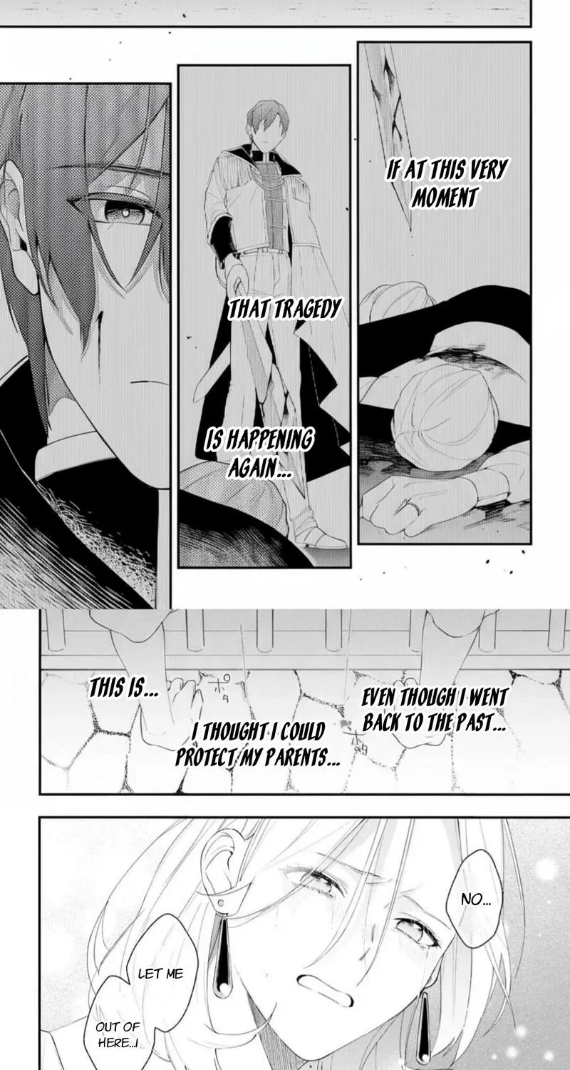 The Person I Planned to Kill Is Overwhelmingly in Love With Me and It’s a Problem Chapter 17 page 3
