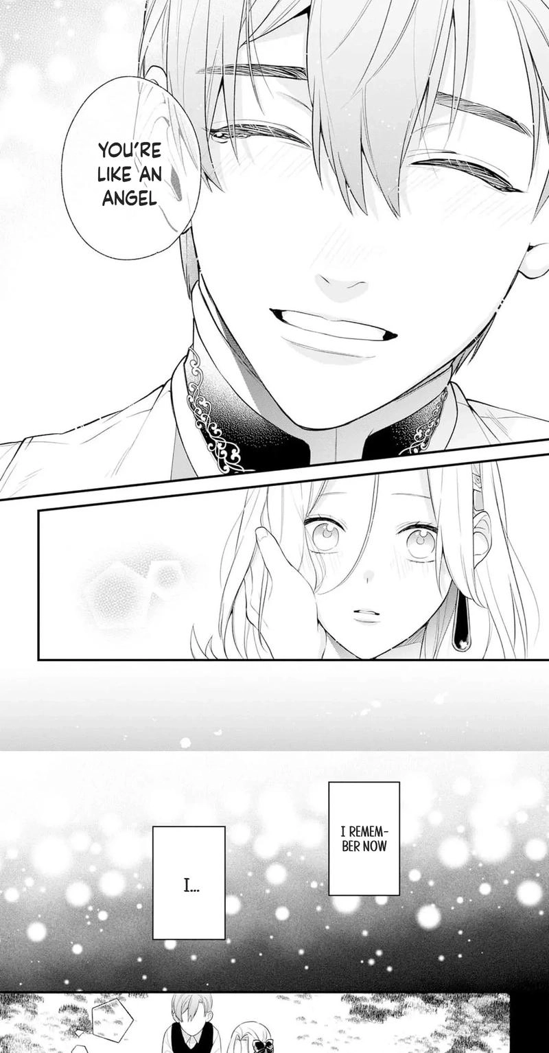 The Person I Planned to Kill Is Overwhelmingly in Love With Me and It’s a Problem Chapter 27 page 12