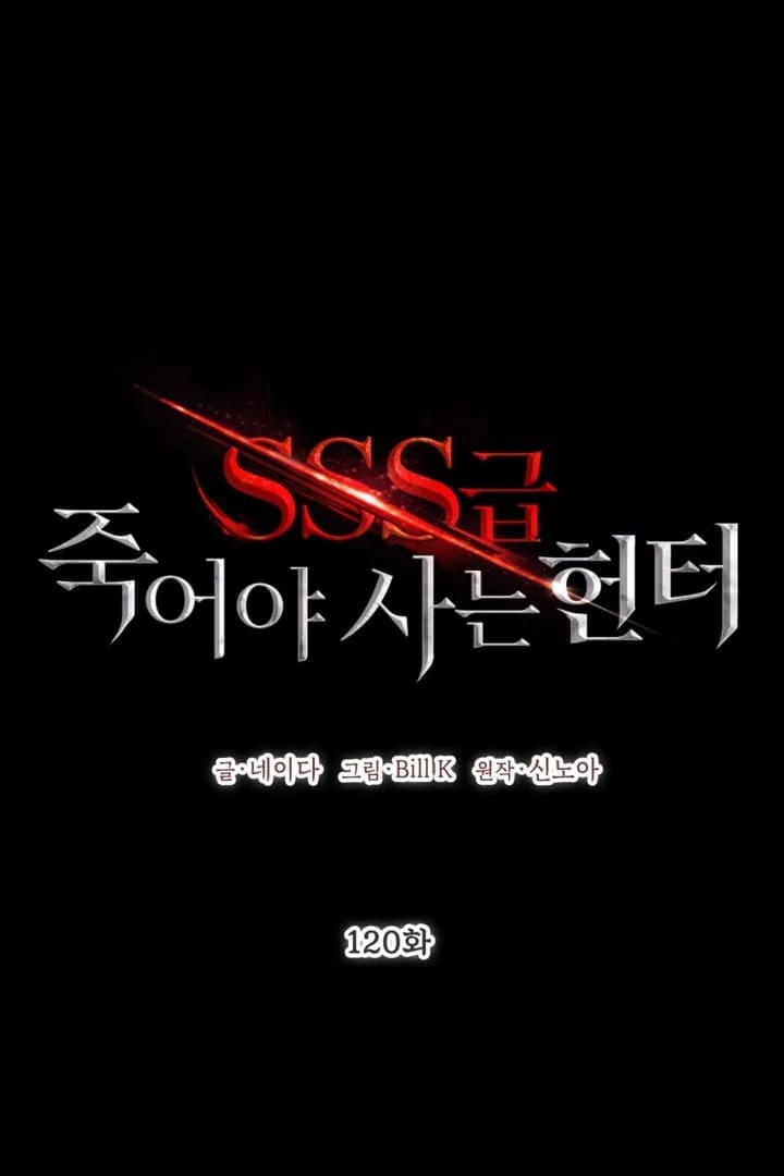 SSS-Class Suicide Hunter Chapter 120 page 31