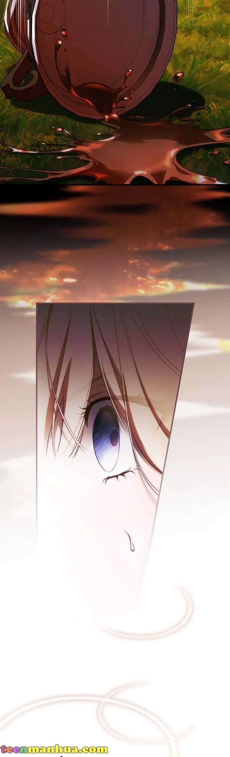 How to Get My Husband on My Side Chapter 68.5 page 19