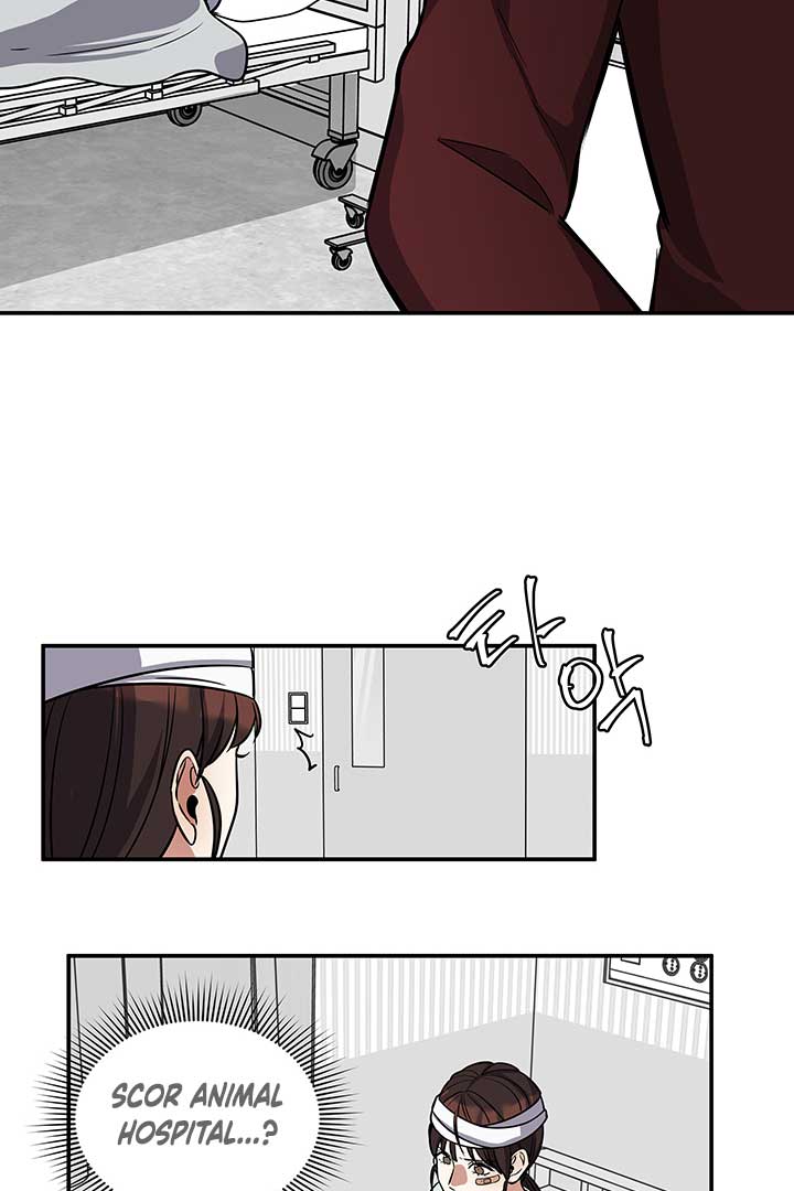 Scorpion time Chapter 2 page 66