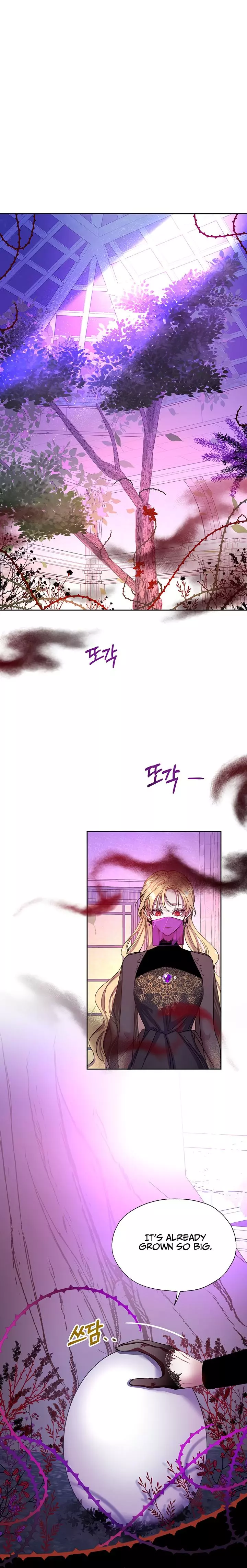 The Way to Protect the Female Lead's Older Brother Chapter 5 page 1