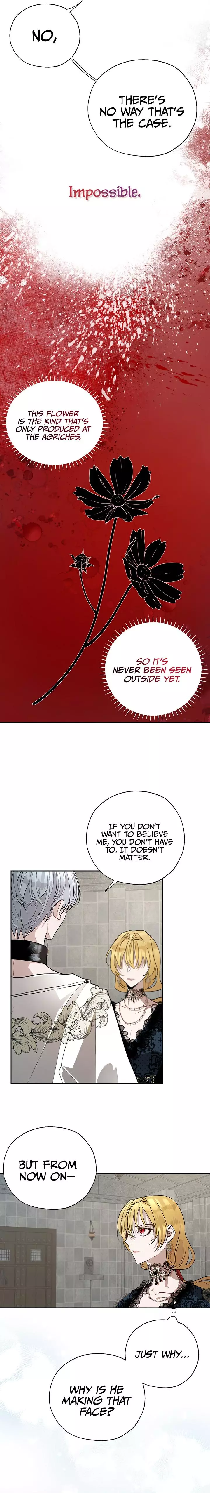 The Way to Protect the Female Lead's Older Brother Chapter 20 page 3