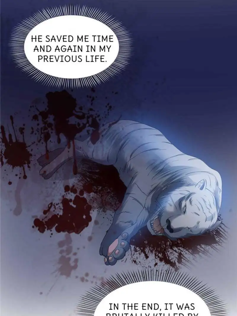 Perfect Secret Love: The Bad New Wife is a Little Sweet Chapter 46 page 24