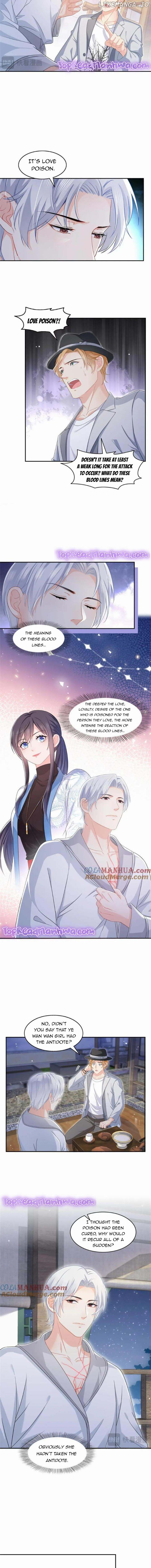 Perfect Secret Love: The Bad New Wife is a Little Sweet Chapter 444 page 3