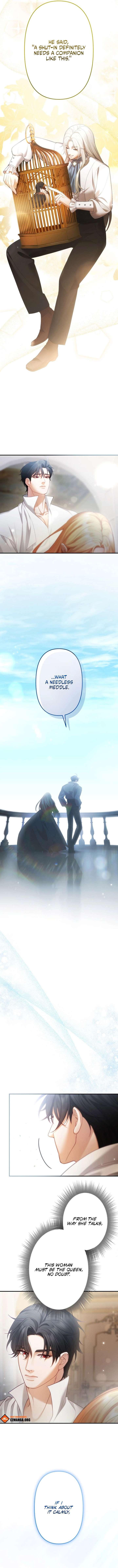 A Widowed Queen’s Devotion for Love Chapter 5 page 8