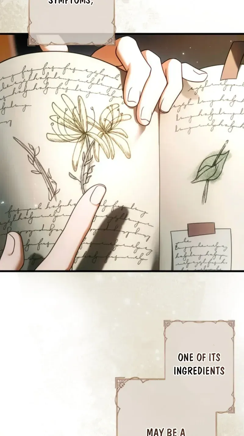 A Widowed Queen’s Devotion for Love Chapter 37 page 5
