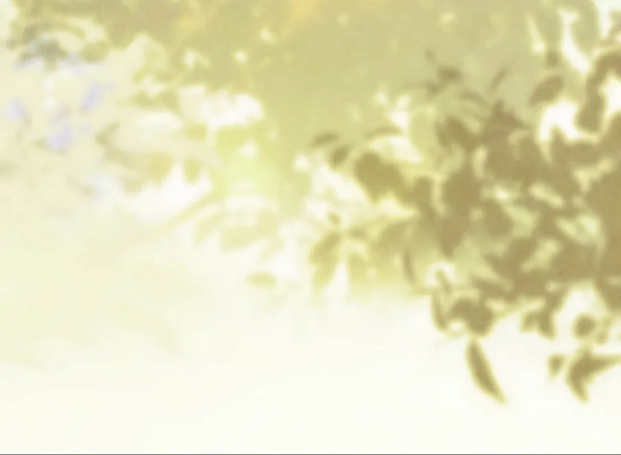 I Took a Bite of Summer Chapter 22 page 84