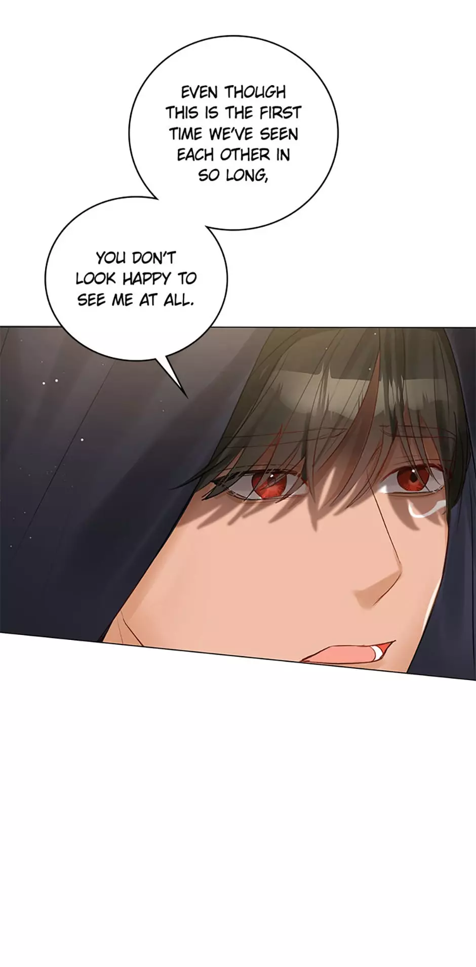 The Archduke's Fabulous Fake Marriage Chapter 16 page 31