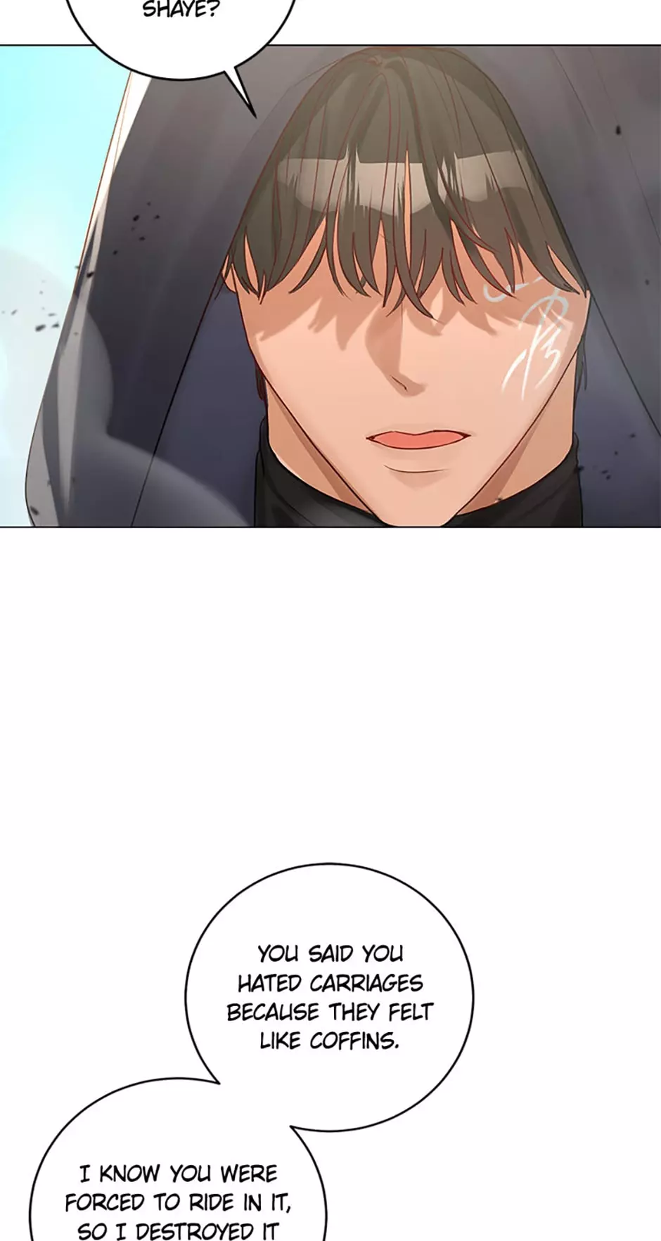 The Archduke's Fabulous Fake Marriage Chapter 16 page 27