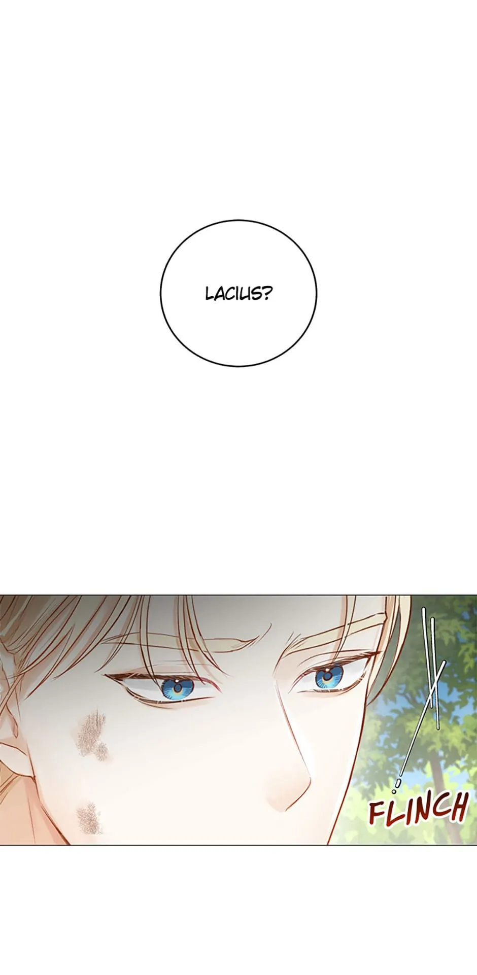 The Archduke's Fabulous Fake Marriage Chapter 17 page 1