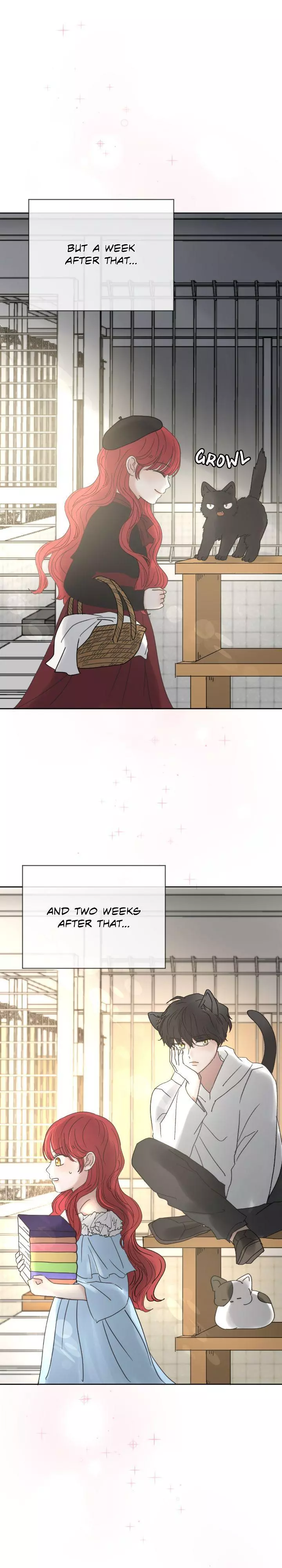 I Adopted a Male Lead From a Prison Shelter Chapter 18 page 4