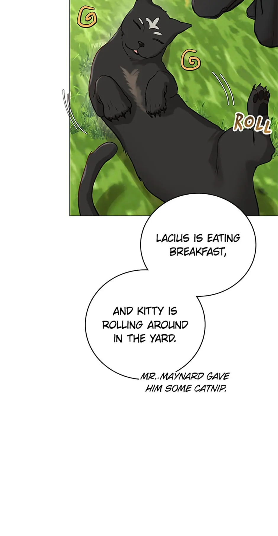 The Archduke's Fabulous Fake Marriage Chapter 19 page 5
