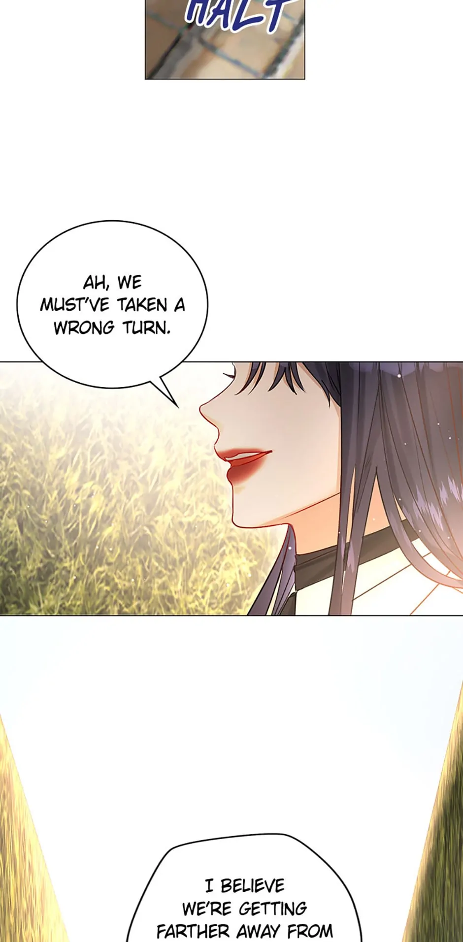 The Archduke's Fabulous Fake Marriage Chapter 19 page 63