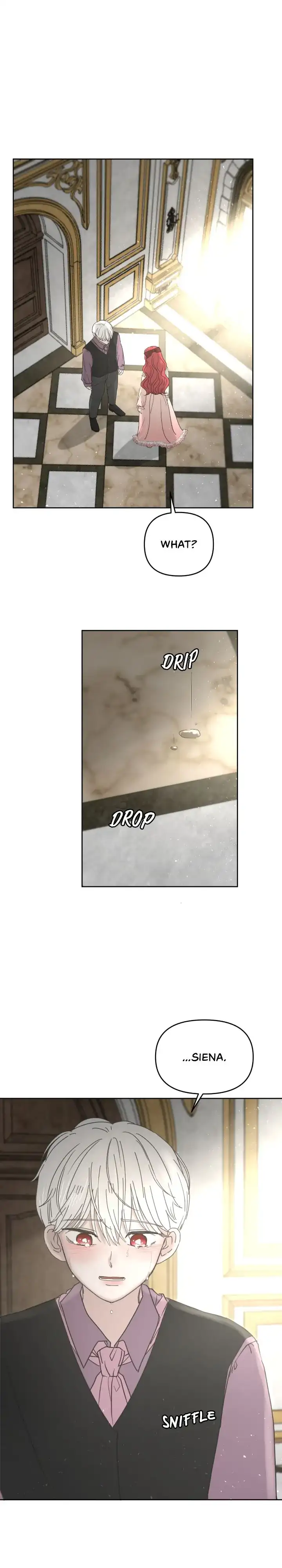 I Adopted a Male Lead From a Prison Shelter Chapter 24 page 13