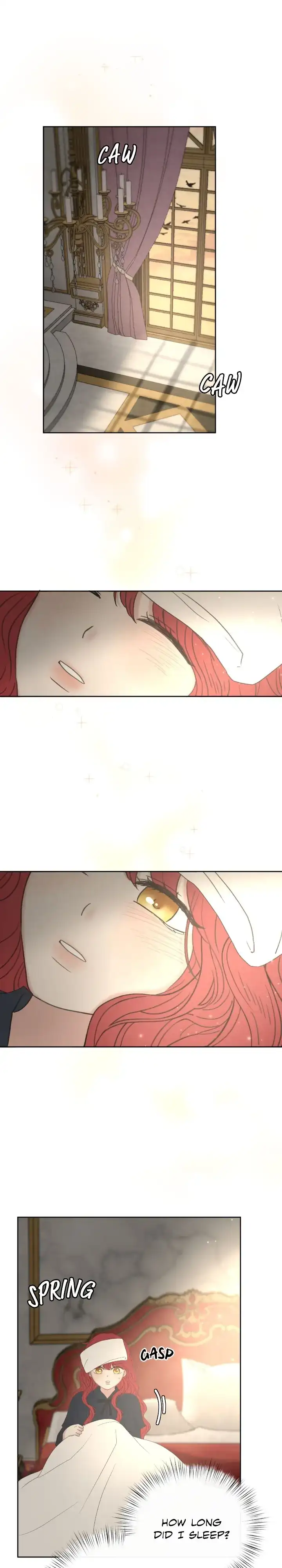 I Adopted a Male Lead From a Prison Shelter Chapter 26 page 5