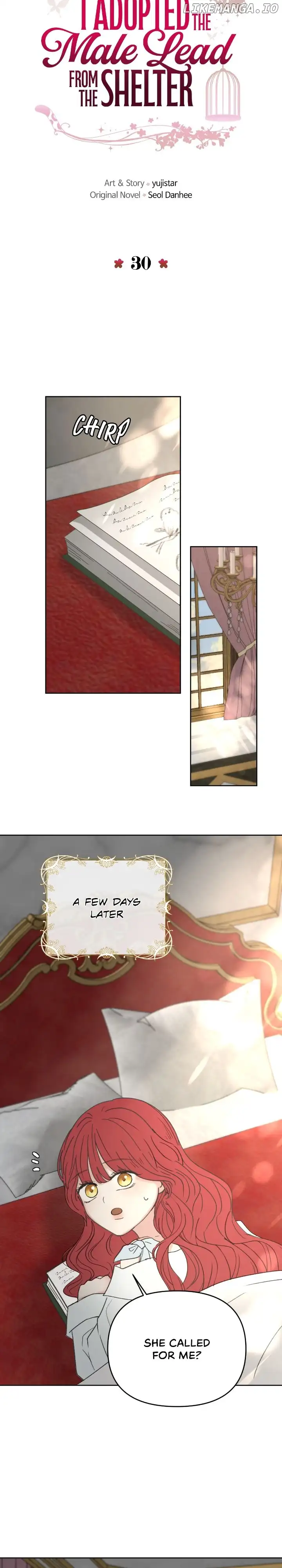 I Adopted a Male Lead From a Prison Shelter Chapter 30 page 13