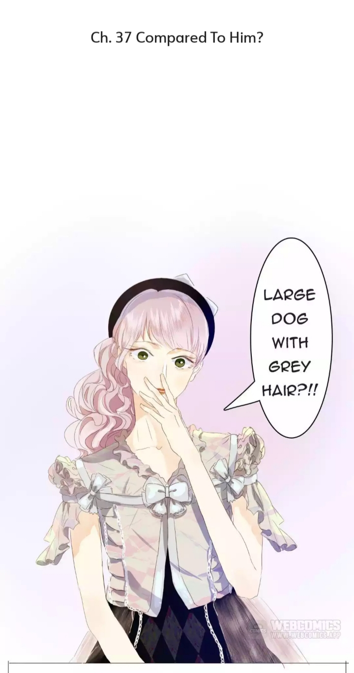 Mens Wear Store and Her Royal Highness Chapter 37 page 1