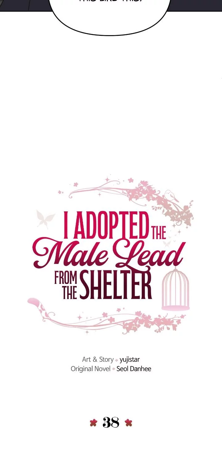 I Adopted a Male Lead From a Prison Shelter Chapter 38 page 10