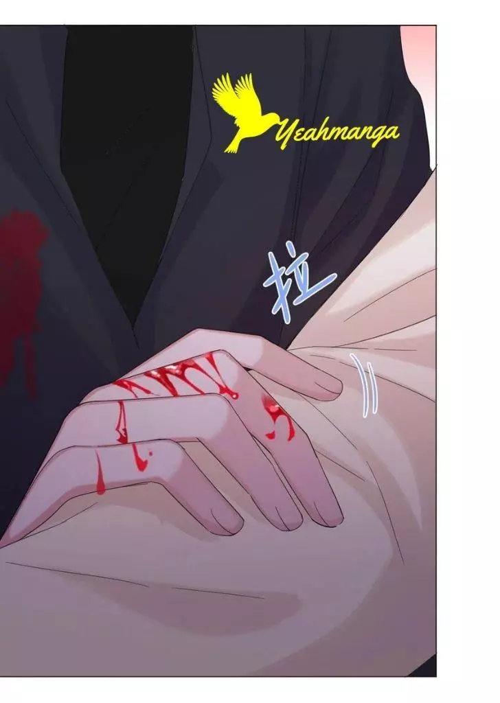 An Emperor Persistently Pursuits The Twelfth Wife Chapter 44 page 18