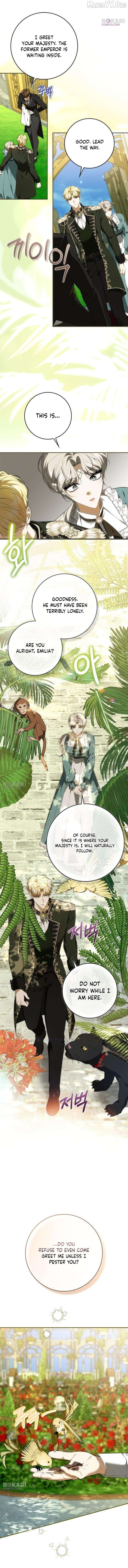 The Emperor Is Annoyed by the Maid Chapter 29 page 11