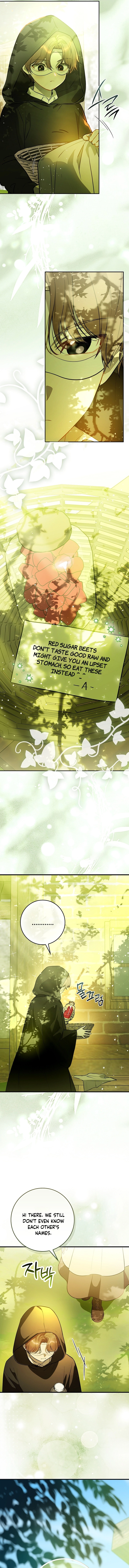 Marked as the Tyrant's Daughter-in-law Chapter 2 page 9