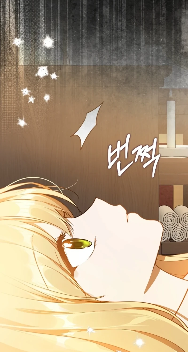 Marked as the Tyrant's Daughter-in-law Chapter 24 page 66