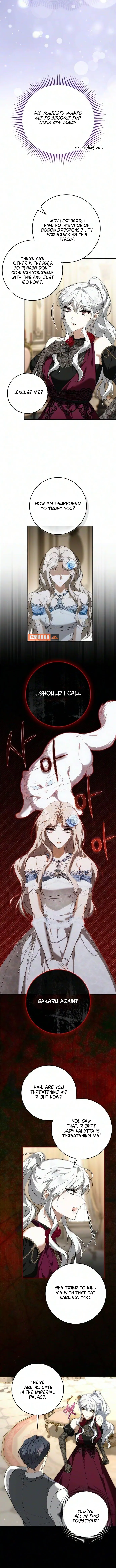 The Emperor Is Annoyed by the Maid Chapter 39 page 4
