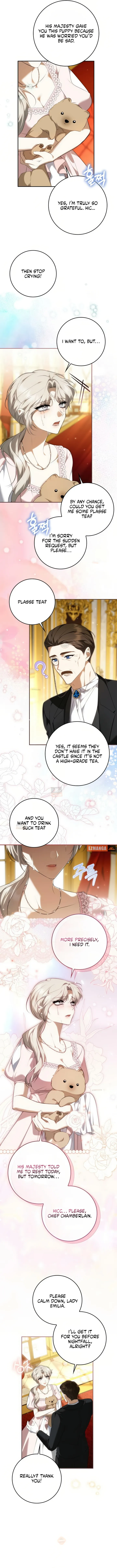 The Emperor Is Annoyed by the Maid Chapter 43 page 5