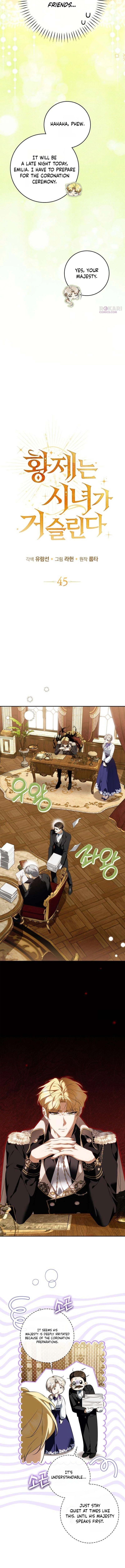 The Emperor Is Annoyed by the Maid Chapter 45 page 15