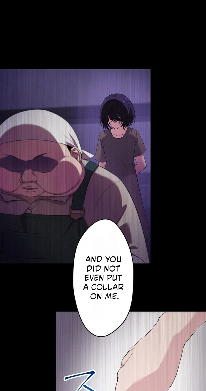 The Legendary Assassin Reincarnated as the Beloved Youngest Daughter of a Royal Family Chapter 109 page 8