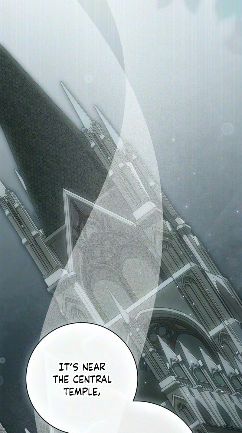 The Emperor Is Annoyed by the Maid Chapter 54 page 46