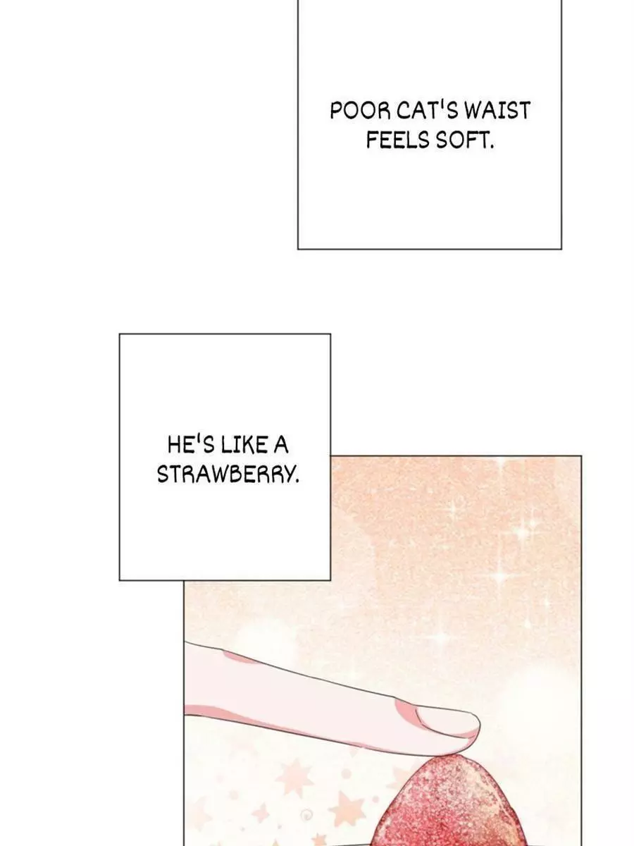 An Emperor Persistently Pursuits The Twelfth Wife Chapter 61 page 3