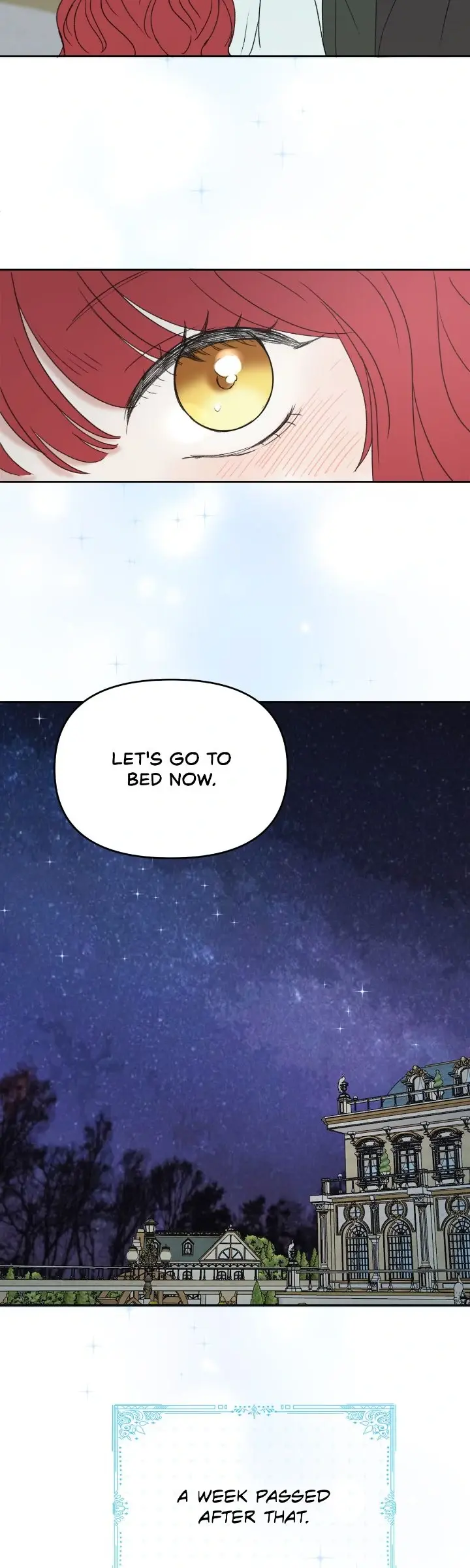 I Adopted a Male Lead From a Prison Shelter Chapter 63 page 6