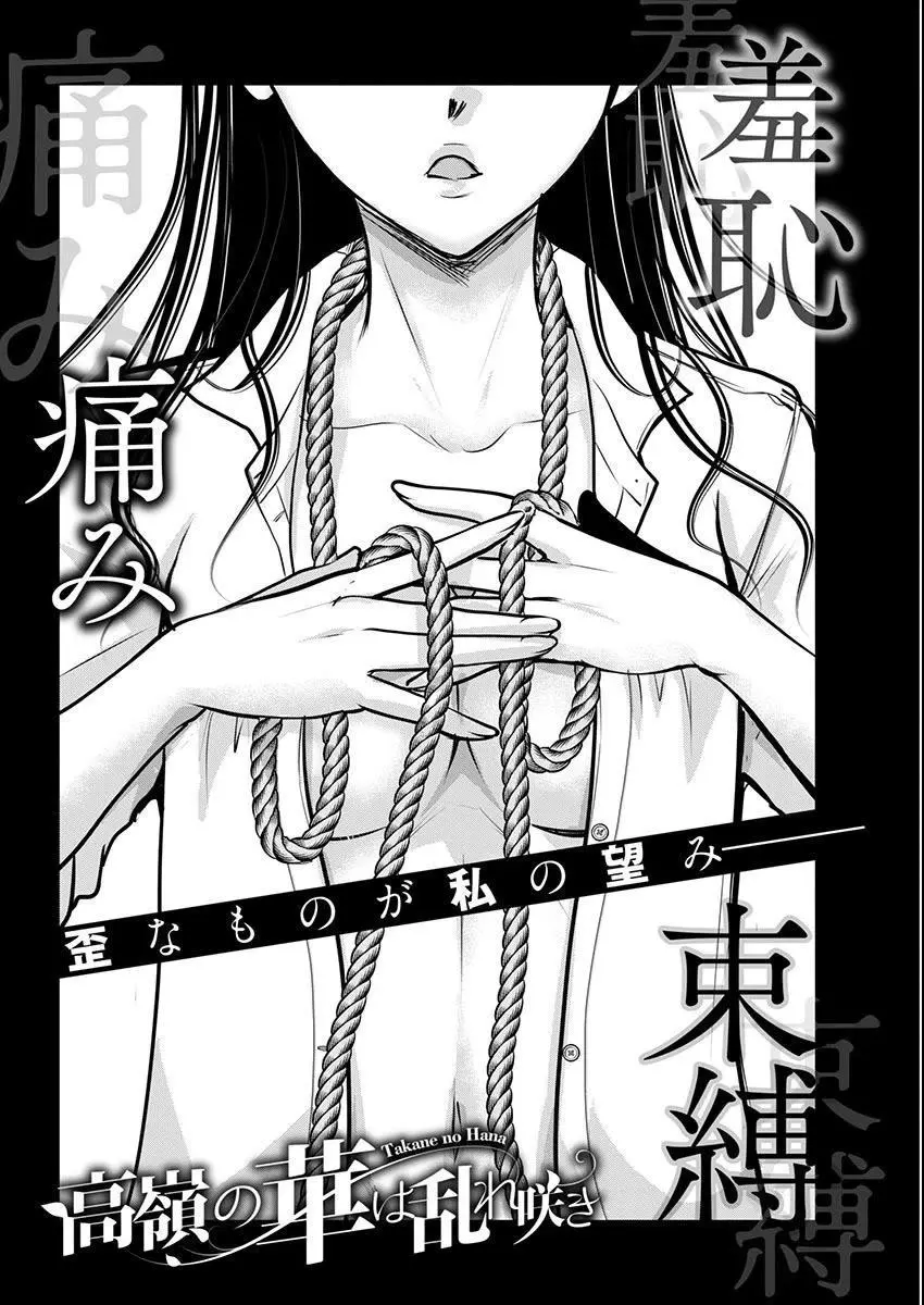 Takane no Hana wa Midaresaki Chapter 62 page 4