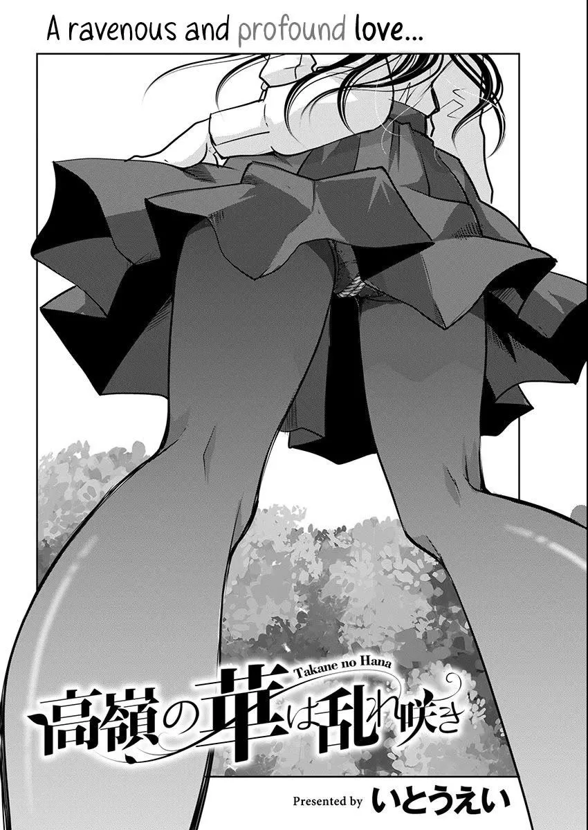 Takane no Hana wa Midaresaki Chapter 66 page 4