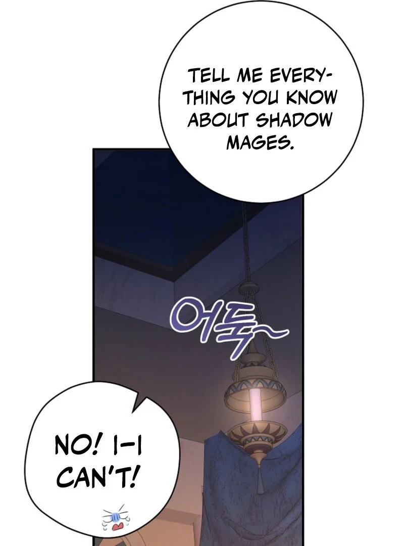 The Archduke's Fabulous Fake Marriage Chapter 84 page 64
