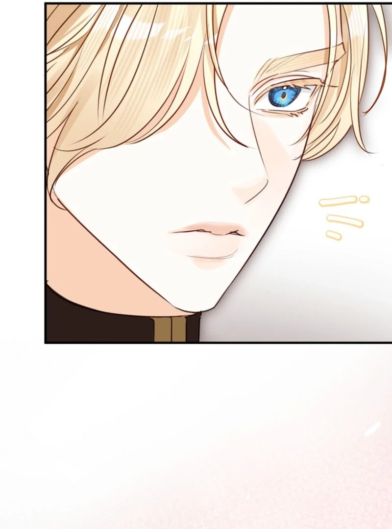 The Archduke's Fabulous Fake Marriage Chapter 84 page 101