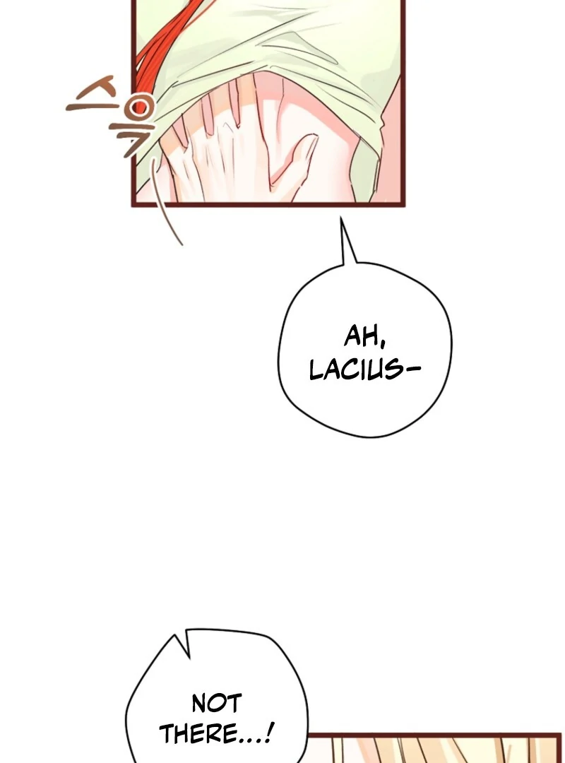 The Archduke's Fabulous Fake Marriage Chapter 86 page 47