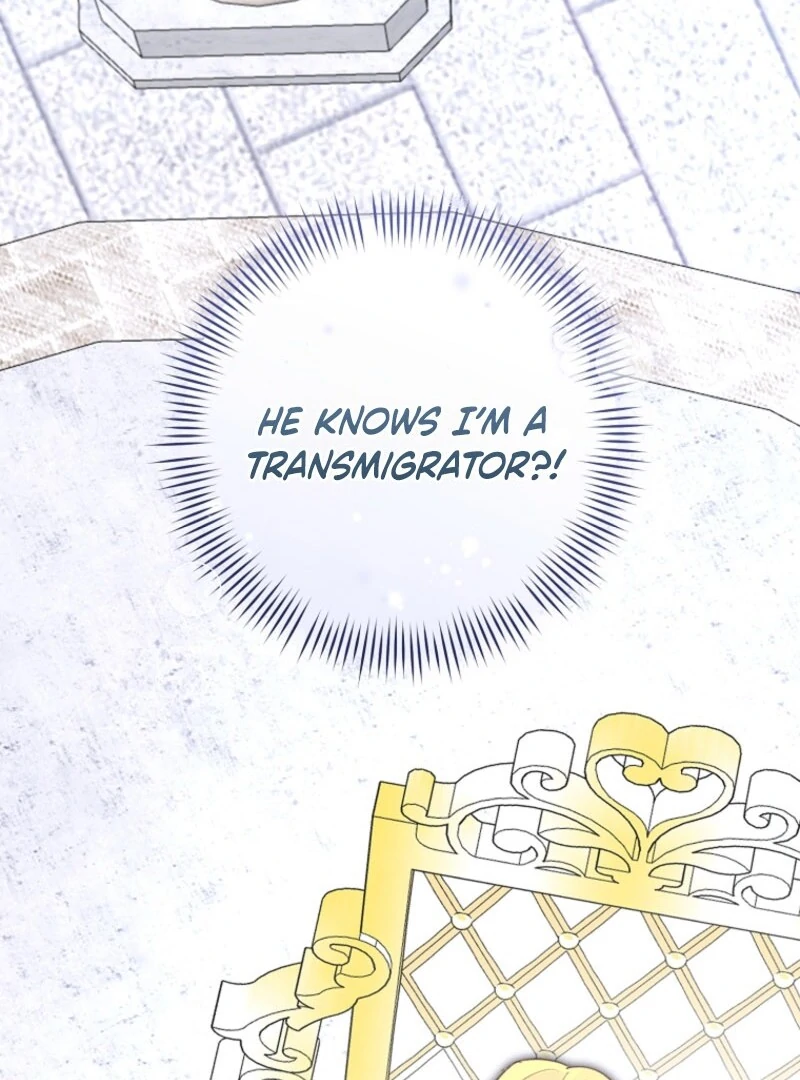 The Archduke's Fabulous Fake Marriage Chapter 96 page 44