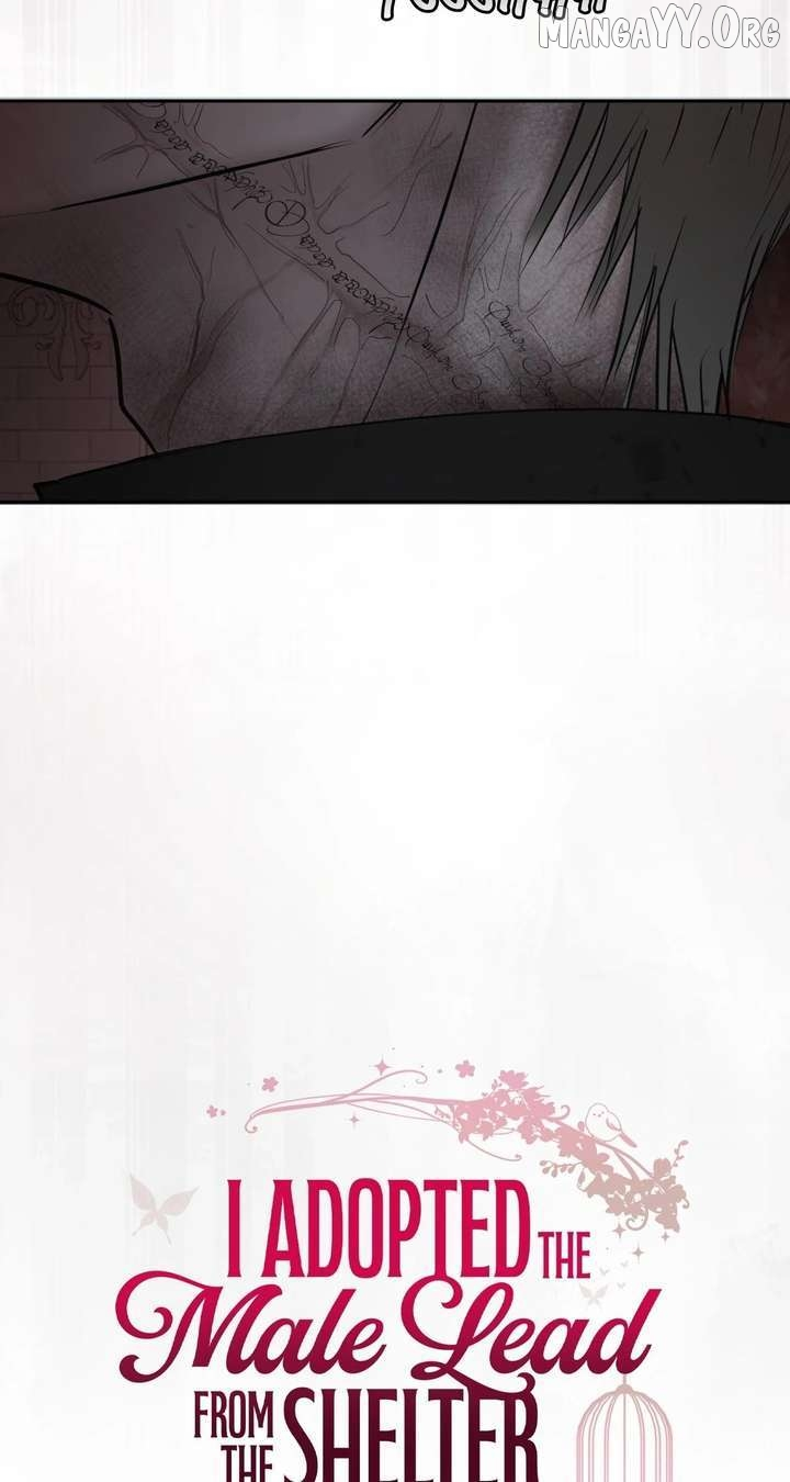 I Adopted a Male Lead From a Prison Shelter Chapter 98 page 16
