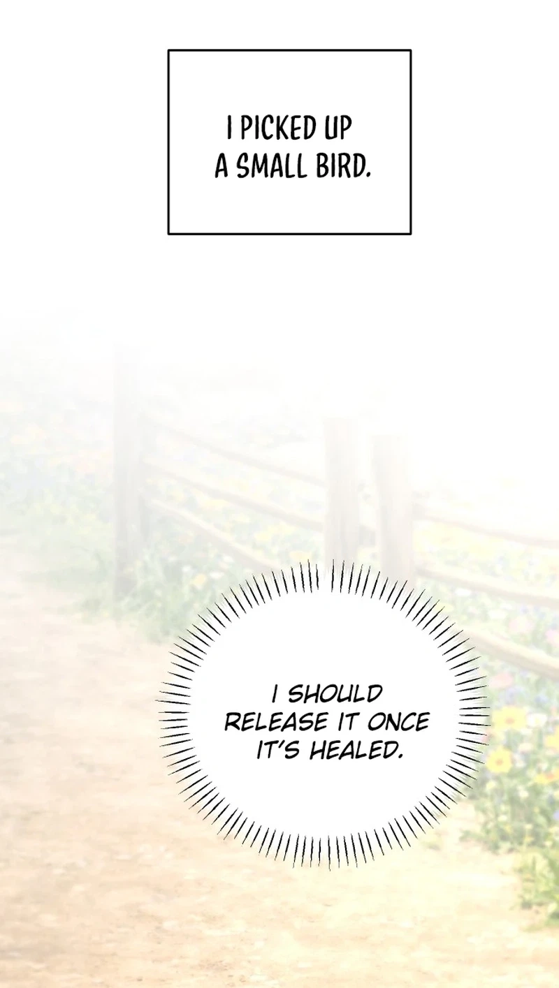 I Adopted a Male Lead From a Prison Shelter Chapter 104 page 11