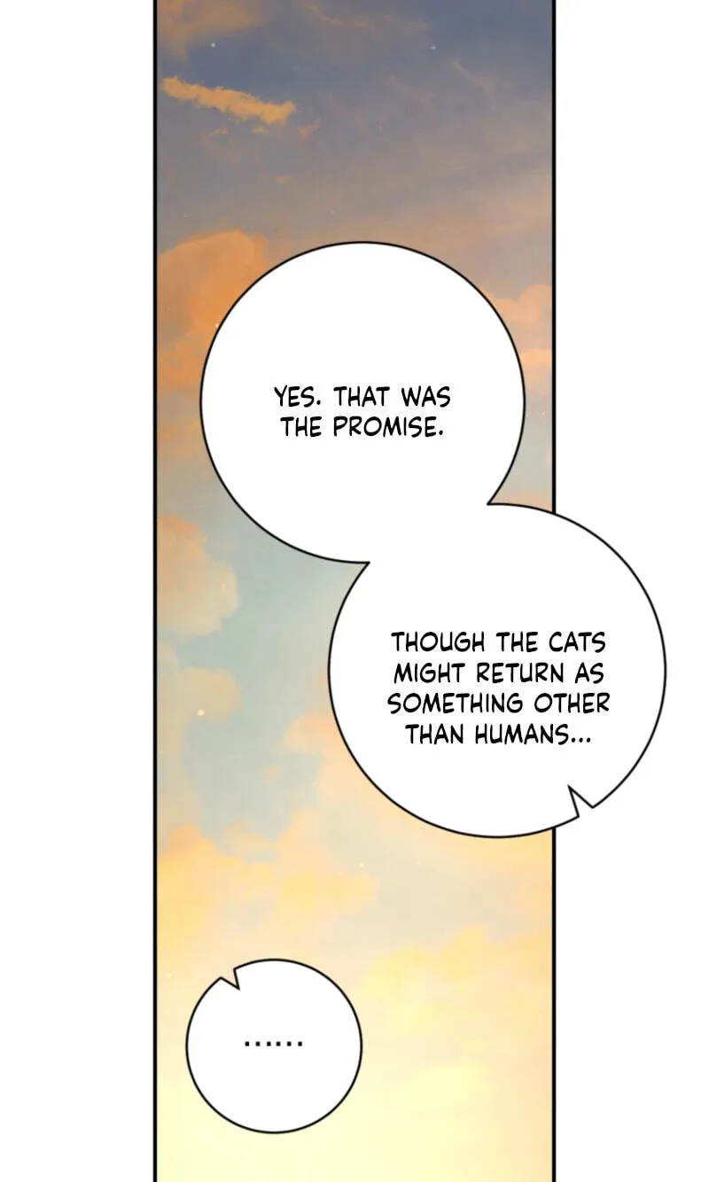 The Archduke's Fabulous Fake Marriage Chapter 115 page 19
