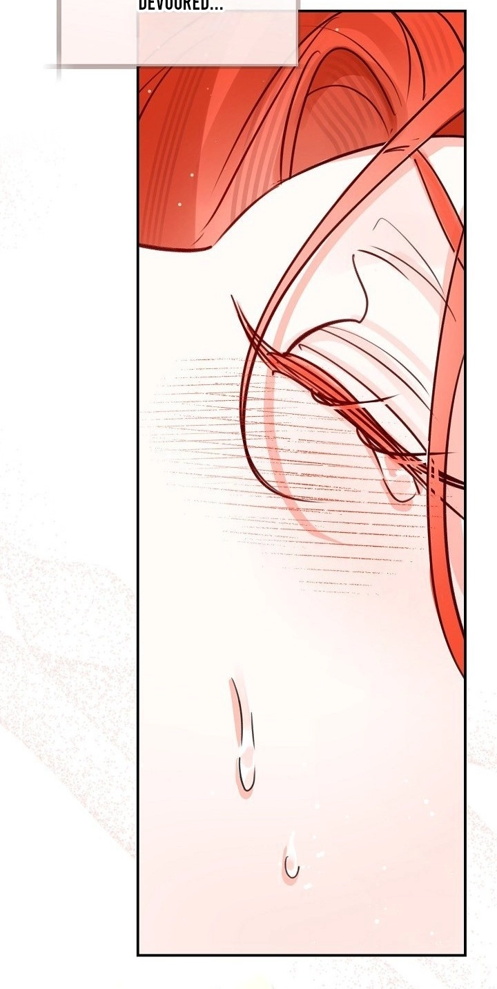 The Archduke's Fabulous Fake Marriage Chapter 119 page 26