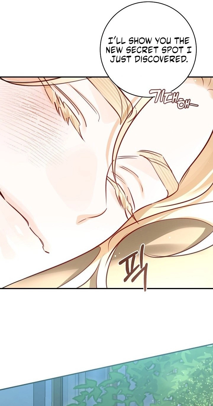 The Archduke's Fabulous Fake Marriage Chapter 119 page 68