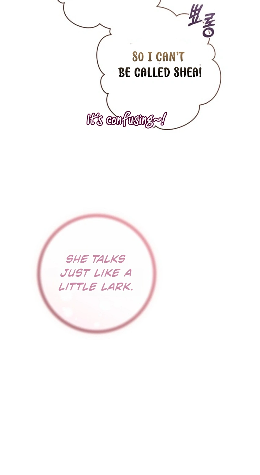The Archduke's Fabulous Fake Marriage Chapter 120 page 49