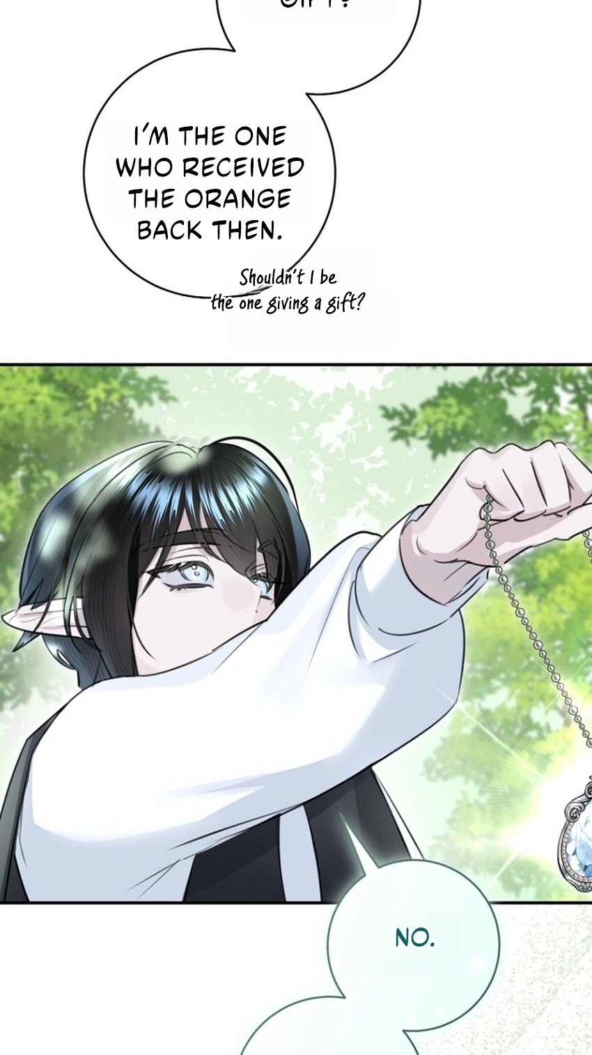 The Archduke's Fabulous Fake Marriage Chapter 120 page 64