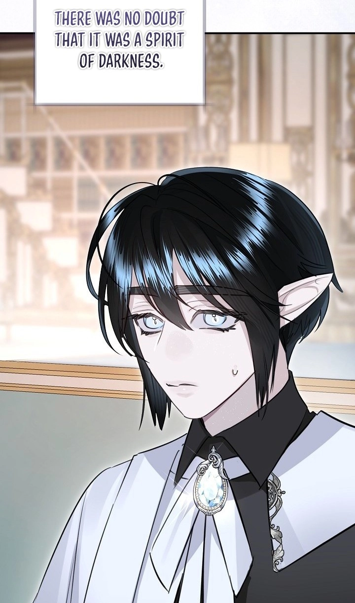 The Archduke's Fabulous Fake Marriage Chapter 121 page 81