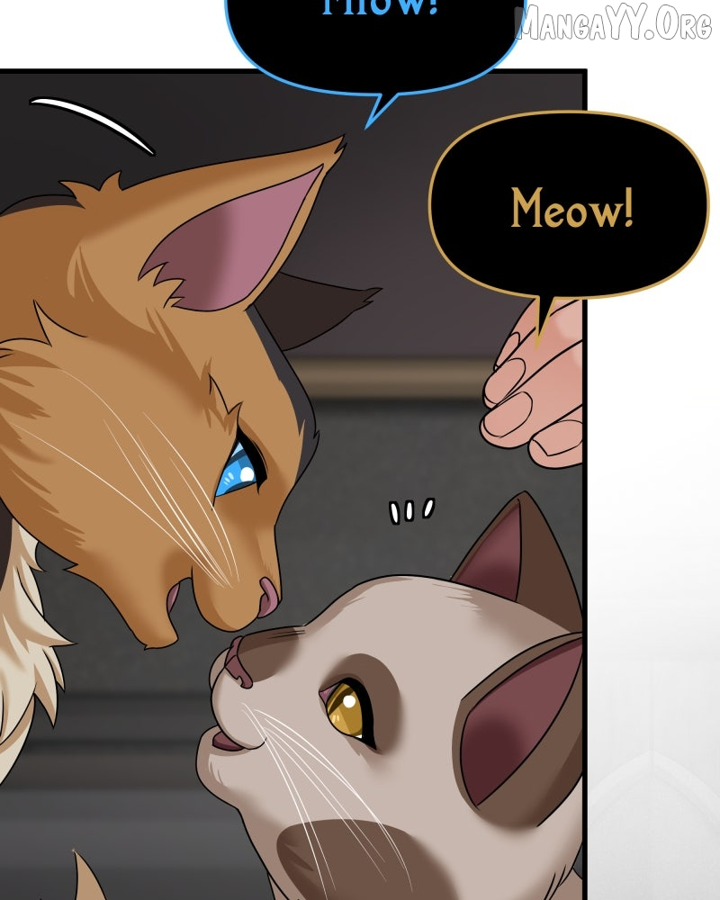 Don't Enter the House Pool Chapter 11 page 16